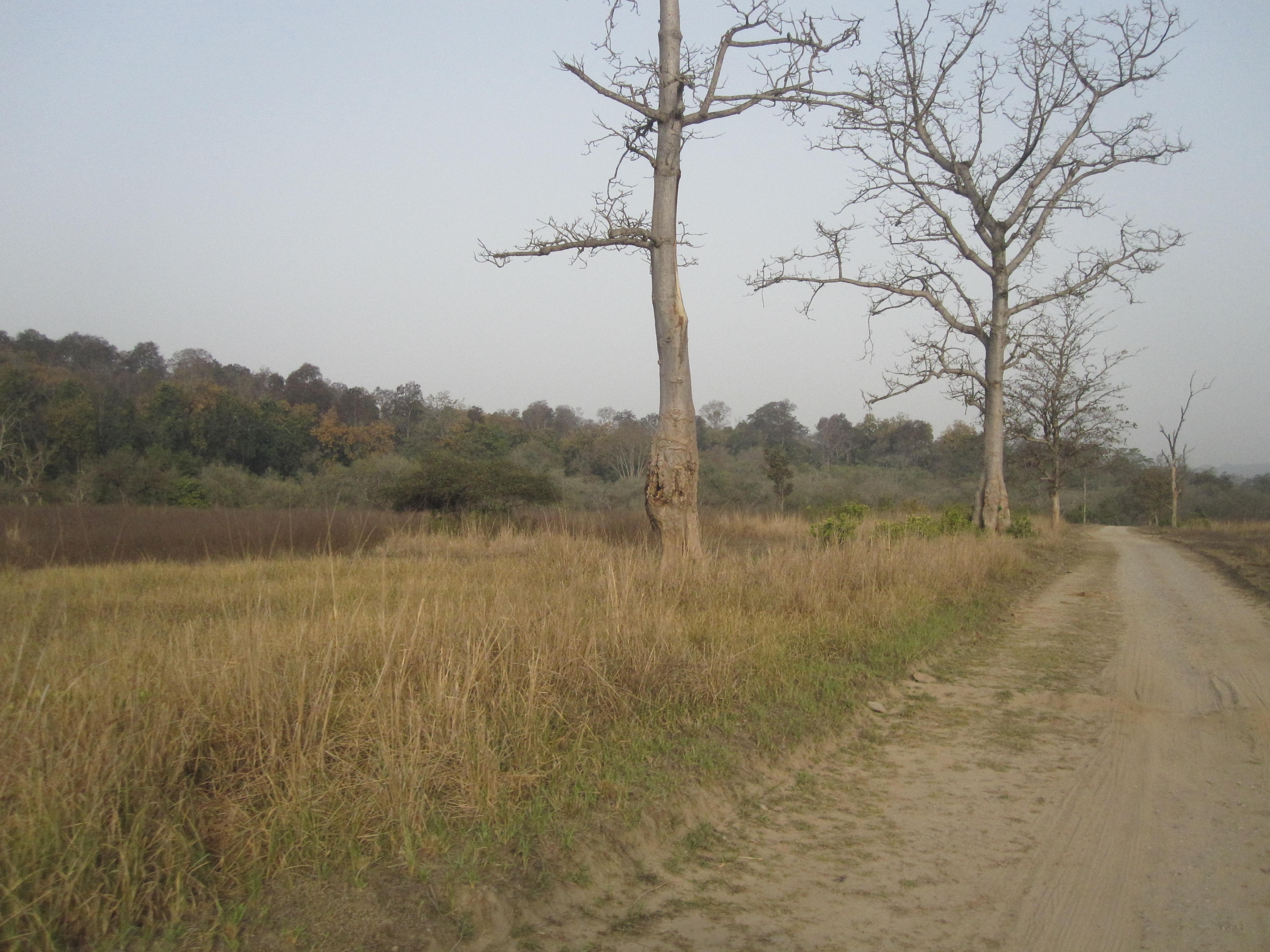 MANAGING LIFE- VEDIC WAYS