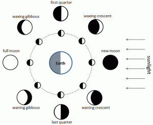 Hindi Tithi as per Moon Position in Vikram Samvat
